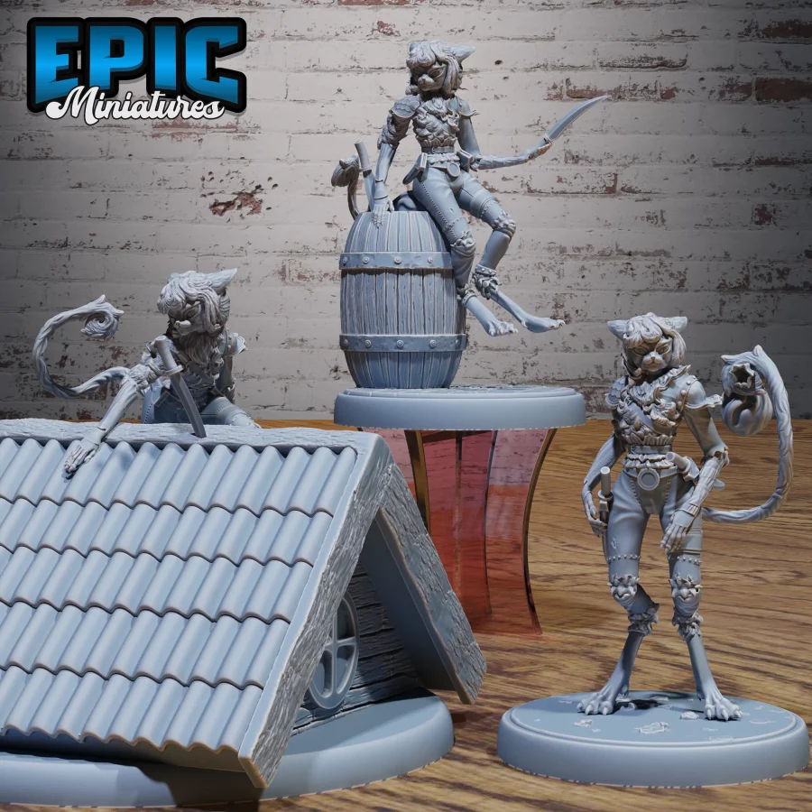 Cat Thief Set