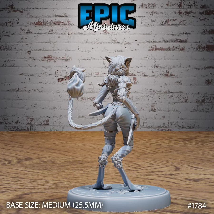 Cat Thief Set - Image 3