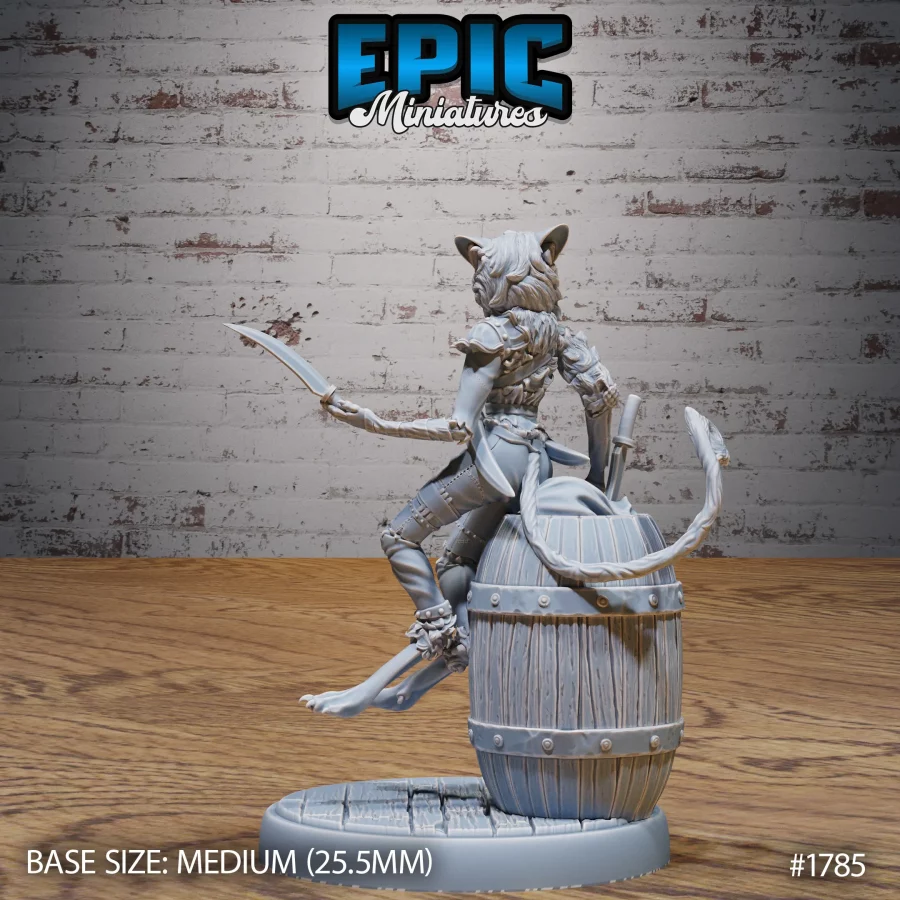 Cat Thief Set - Image 5