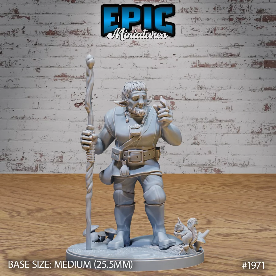 Firbolg Druid (Medium)