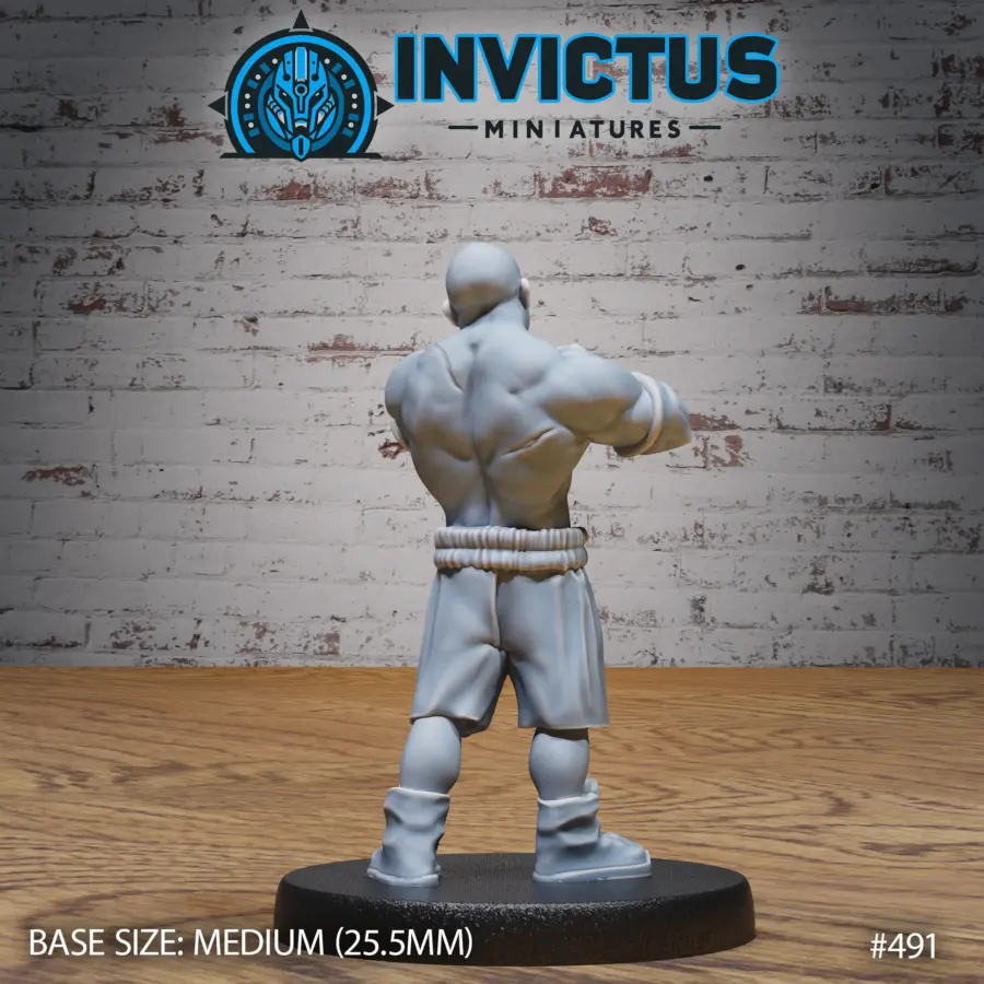 Capoeira Fighter / Kickboxer / City Thug / Karate Apprentice Set - Image 5