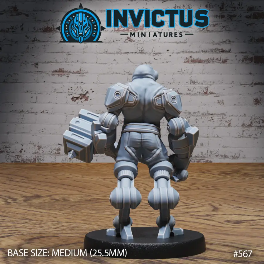 Neo Pirate Cyborg (Medium) - Image 2