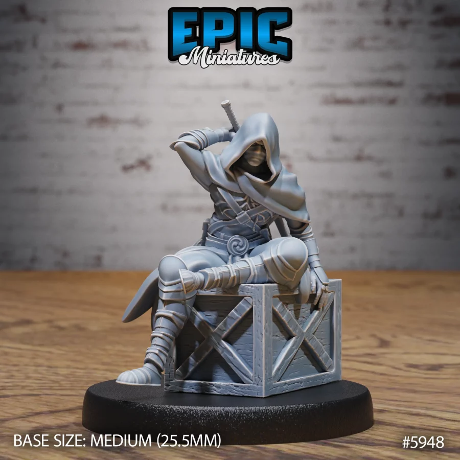 Hooded Ninja Sitting (Medium)