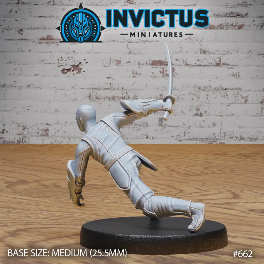 Ninja Clan Assasin (Medium) - Image 2