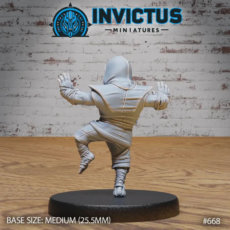 Ninja Clan Newbie (Medium) - Image 2