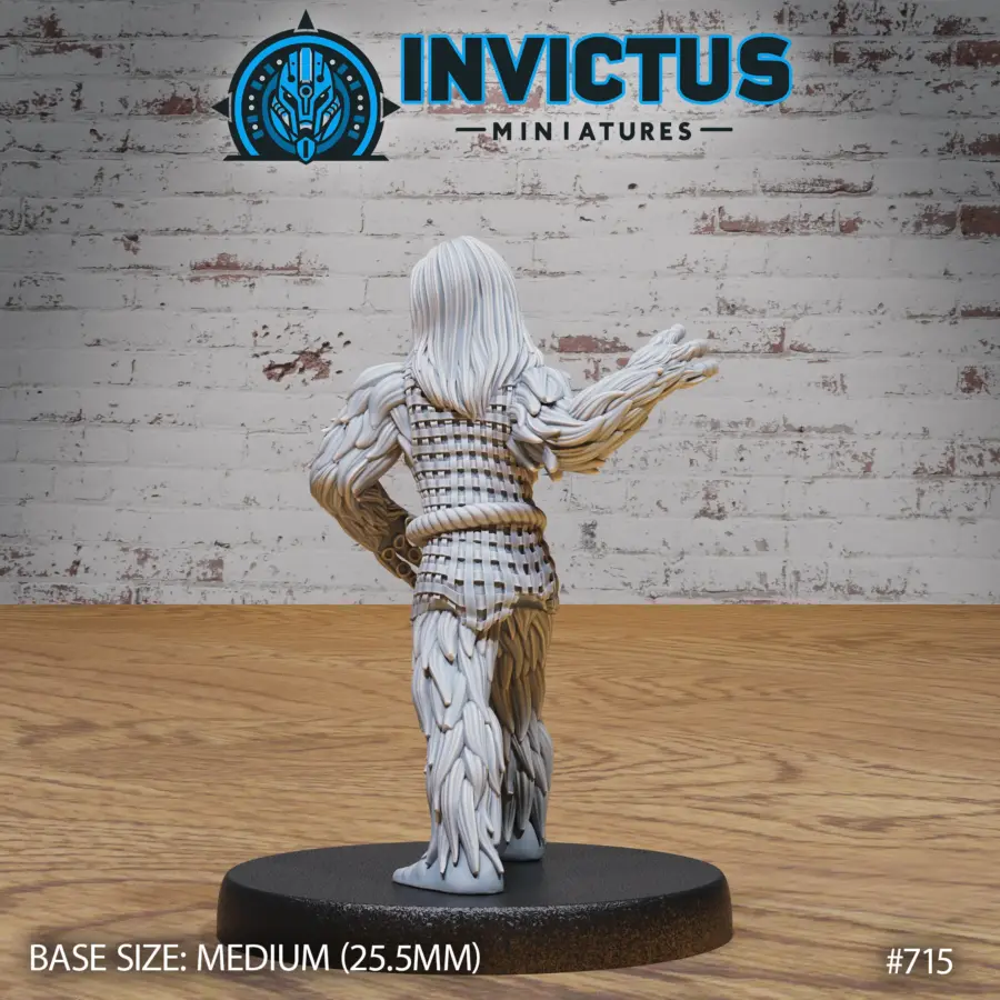 Experiment N113 Attack (Medium) - Image 2