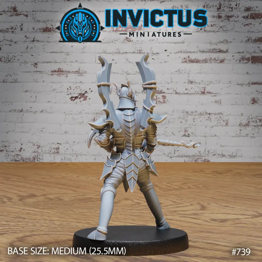 Assault Knight Shooting (Medium) - Image 2