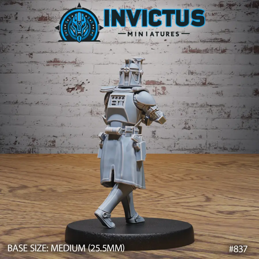 Cosmic Corsairs Sentinel (Medium) - Image 2